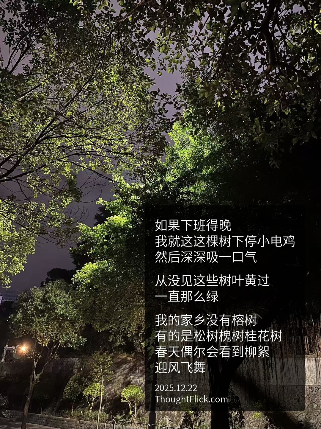 /media/images-phone/2025/12/22/2025-12-22 14.23.22.jpg